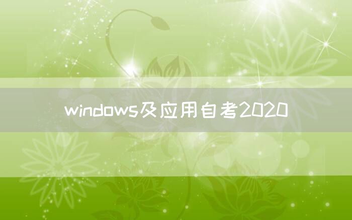 windows及应用自考2020
